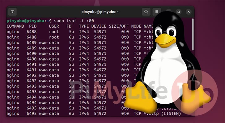 Linux Kill Process using Port