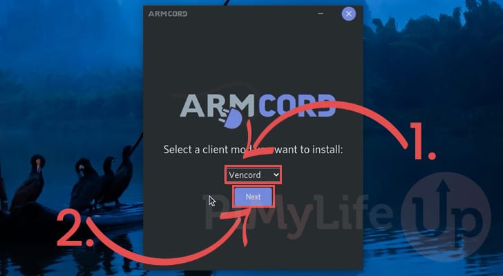 Choose Discord Client Mod to run on the Raspberry Pi