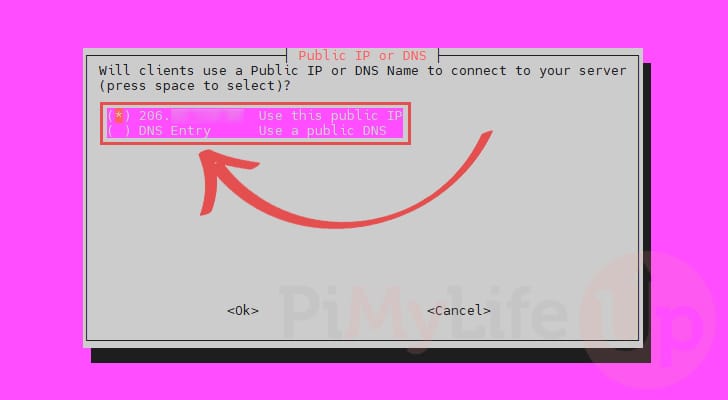 Public IP or use DNS