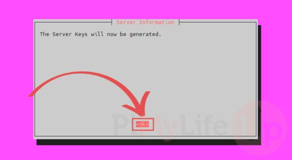 Setting up a WireGuard VPN Server on Ubuntu with PiVPN - Pi My Life Up