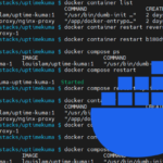 Docker Restart Container