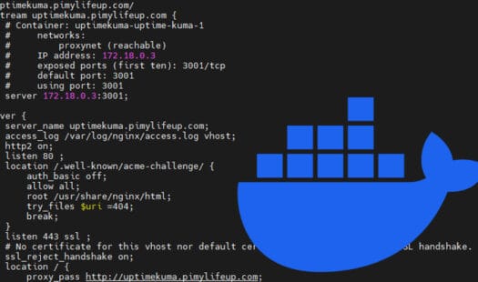 Easily Deploy a Nginx Reverse Proxy using Docker Thumbnail