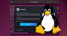 Linux Install Steam Client
