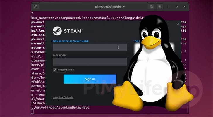 Linux Install Steam Client