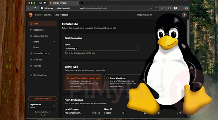 Pangolin Reverse Proxy Tunnel Linux