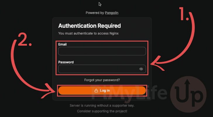 Login required to access Pangolin resource