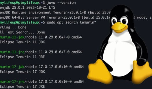 Installing Newer Versions of Java on Debian Systems Thumbnail