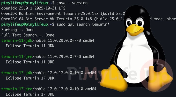 Installing the Latest Versions of Java on Debian