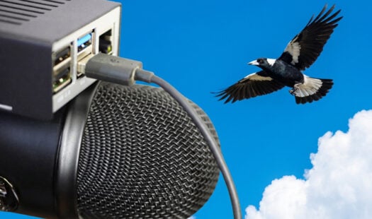 Classify Birds in Real Time on your Raspberry Pi with BirdNET-Pi Thumbnail